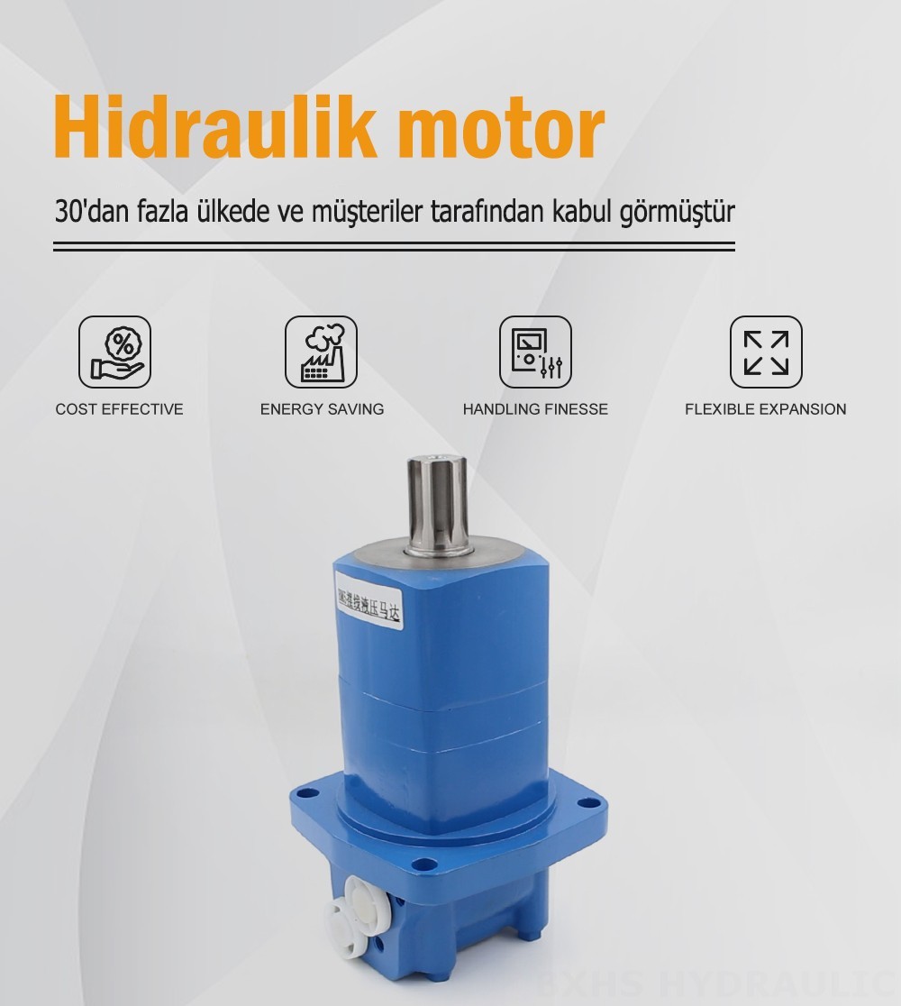 BM5_Sikloid Hidrolik Motor 80 cc/r 75 L/dakika hidrolik motor
